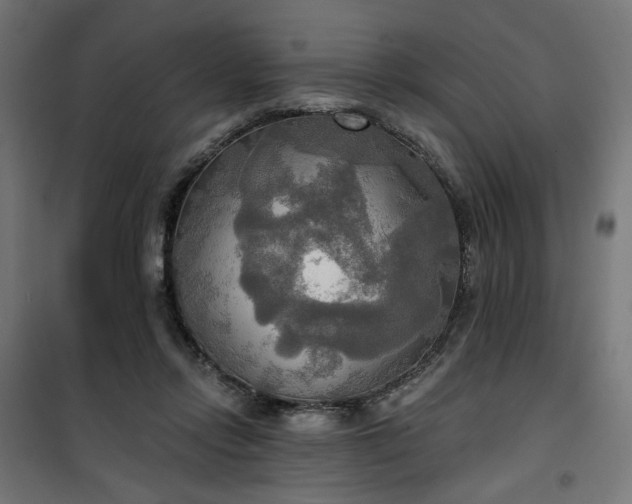 X0000100470358200806201611