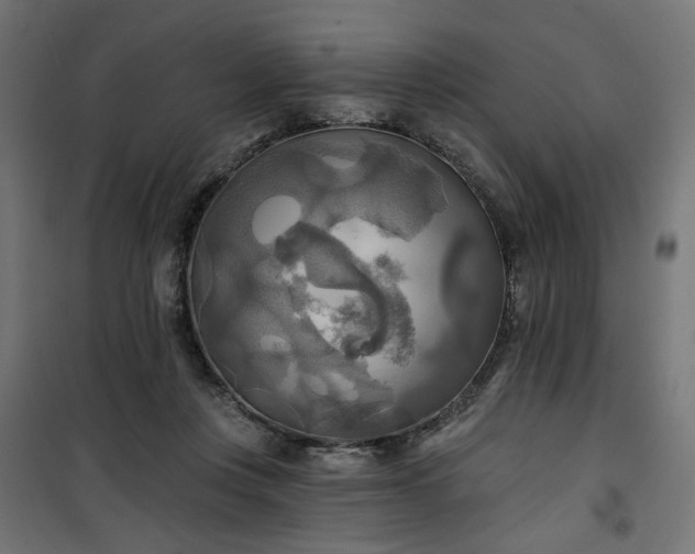 X0000100470359200806201611