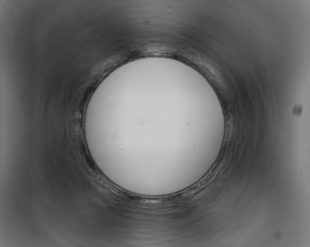 X0000100470361200806201611