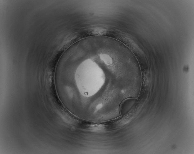 X0000100470363200806201612