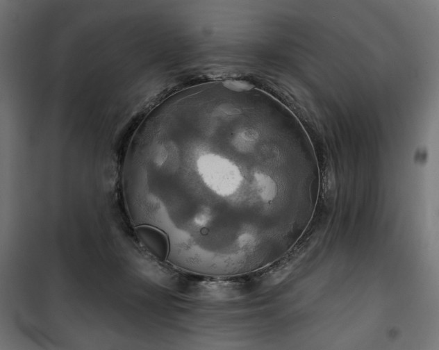 X0000100470367200806201612