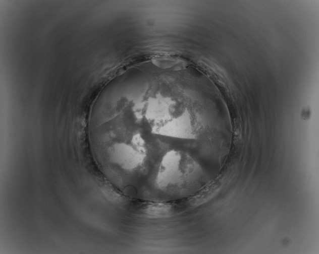 X0000100470369200806201612