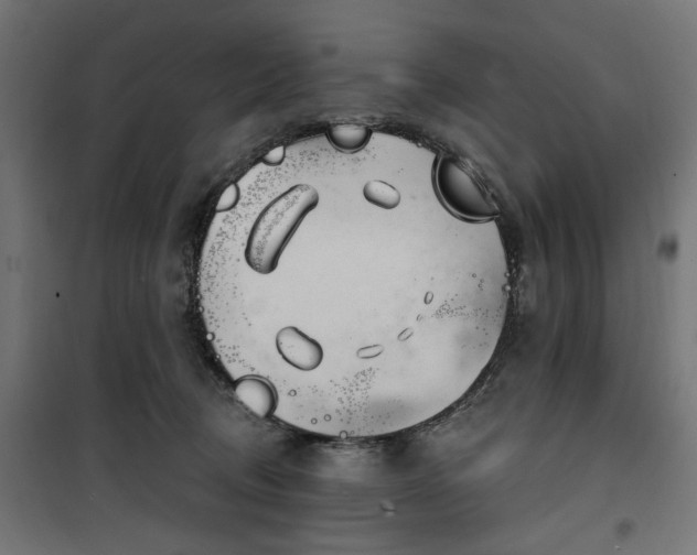 X0000100470370200806201612