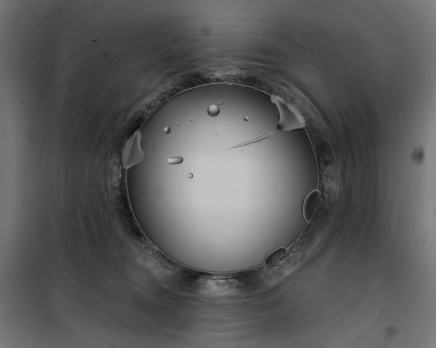 X0000100470372200806201612