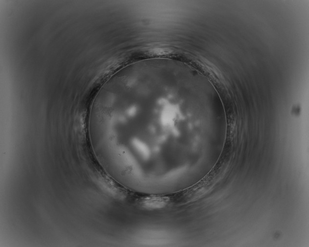 X0000100470373200806201612