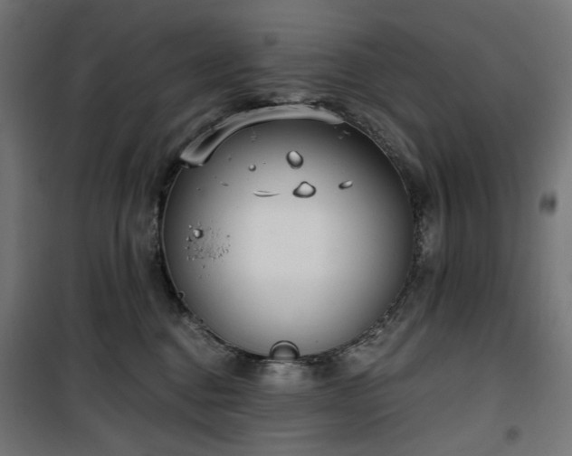 X0000100470376200806201612