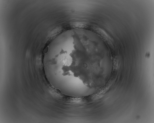 X0000100470377200806201612