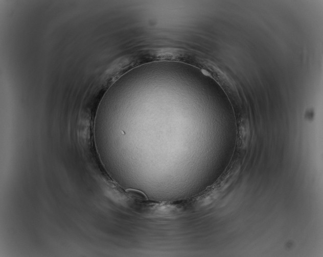 X0000100470379200806201612