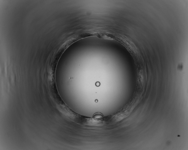 X0000100470380200806201612