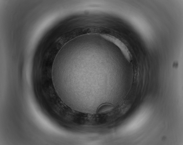 X0000100470383200806201612