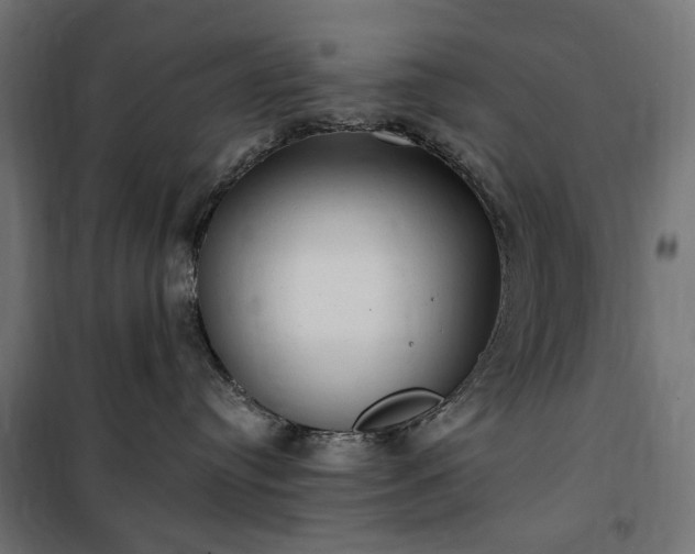 X0000100470384200806201612