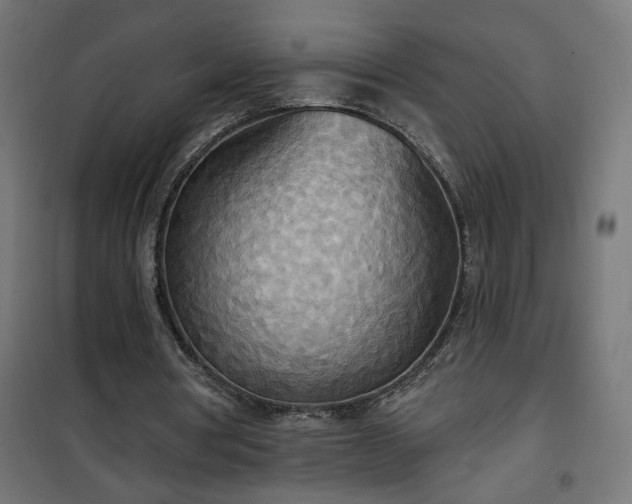 X0000100470386200806201611