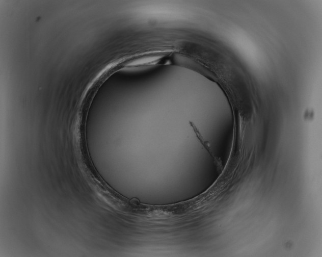 X0000100470387200806201611