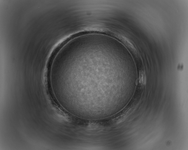 X0000100470388200806201611