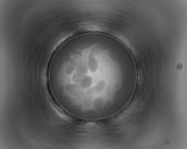 X0000100470390200806201611