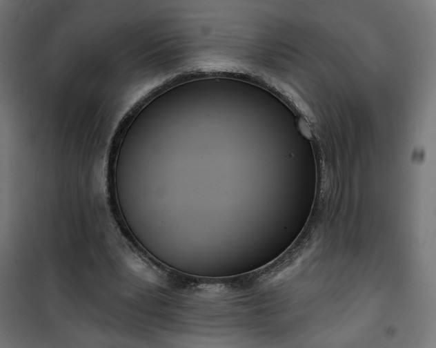 X0000100470391200806201611