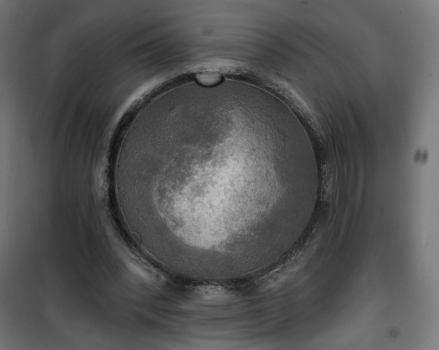 X0000100470392200806201611