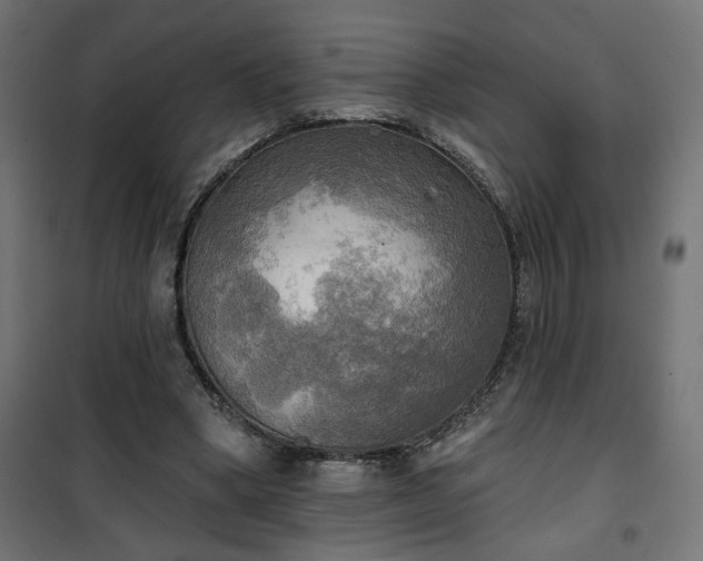 X0000100470394200806201611