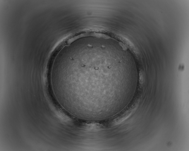 X0000100470396200806201611