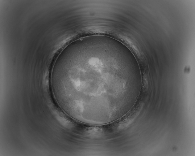 X0000100470398200806201611