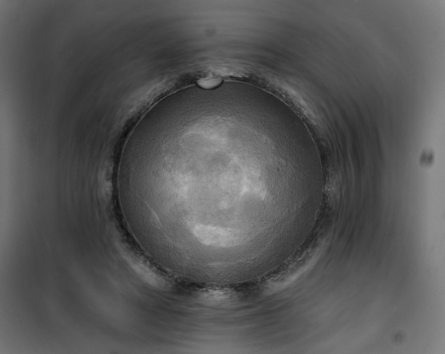 X0000100470402200806201611