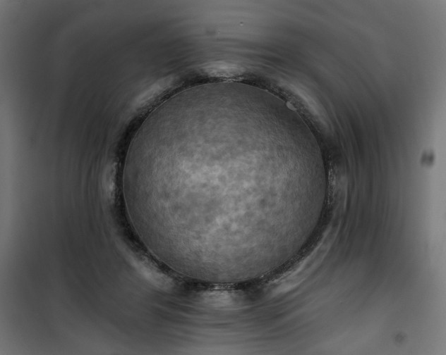 X0000100470404200806201611