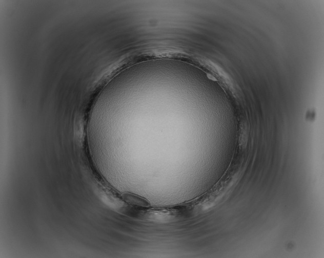 X0000100470405200806201611