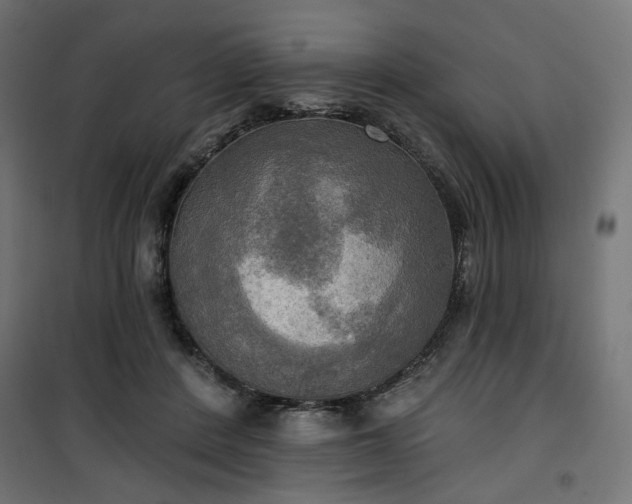 X0000100470408200806201611