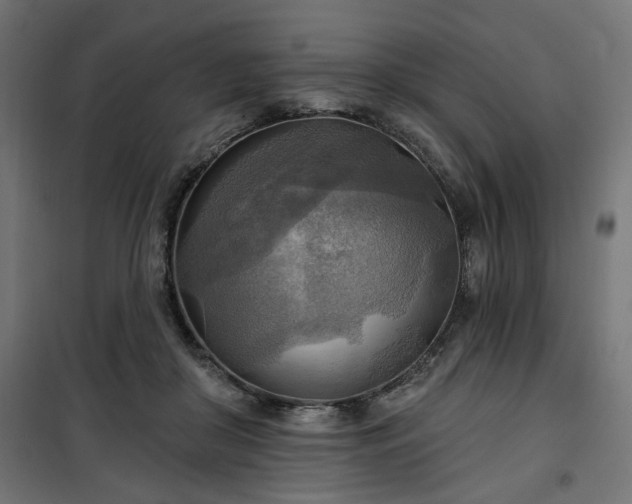 X0000100470410200806201611