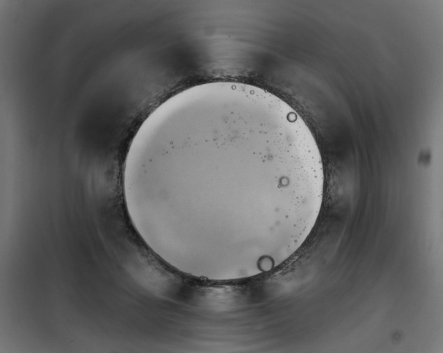 X0000100470411200806201611