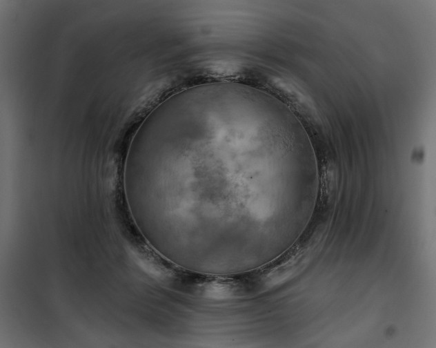 X0000100470412200806201611