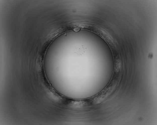 X0000100470414200806201611