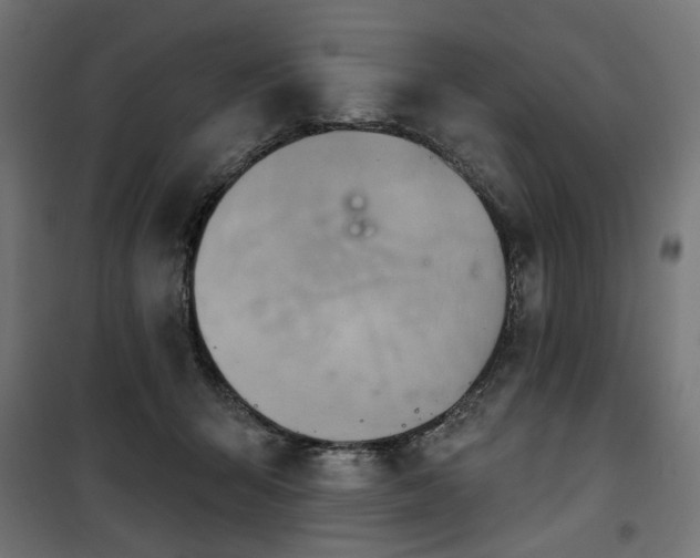 X0000100470415200806201611