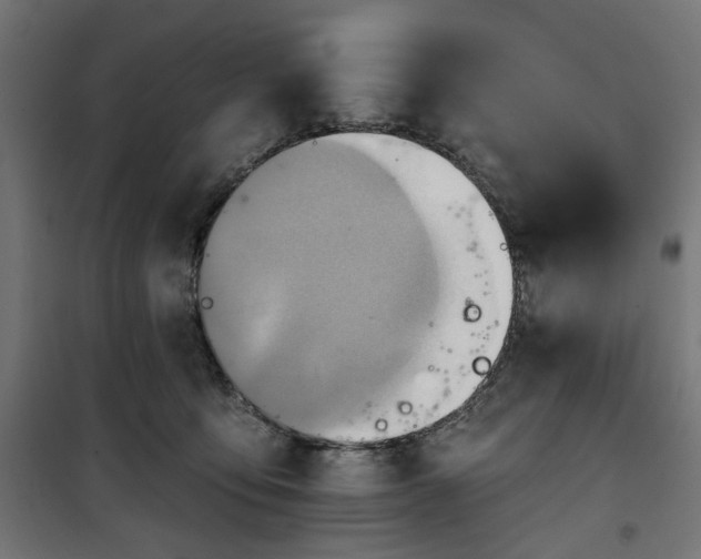 X0000100470419200806201611