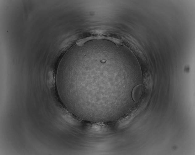 X0000100470420200806201611