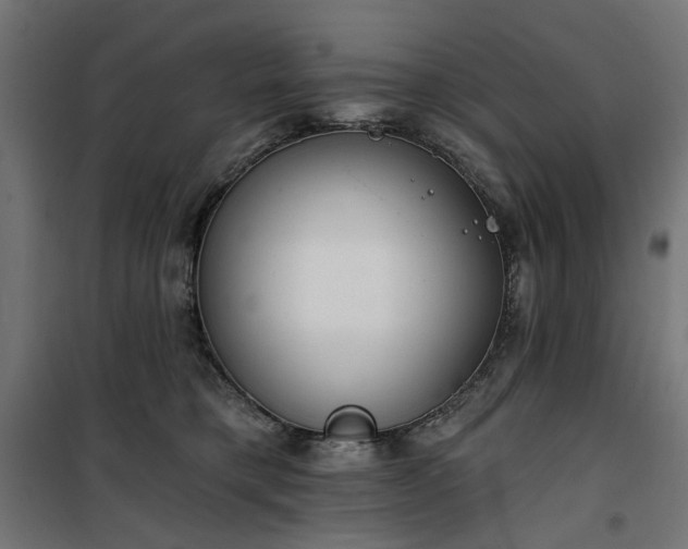 X0000100470421200806201611