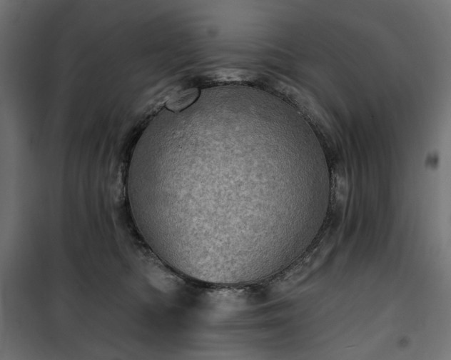 X0000100470422200806201611