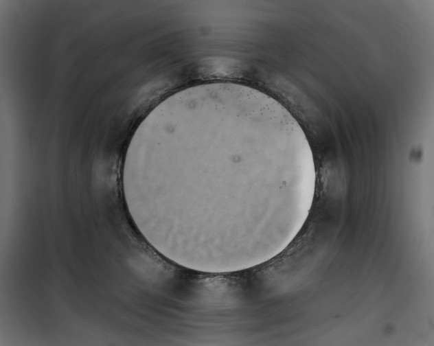 X0000100470423200806201611