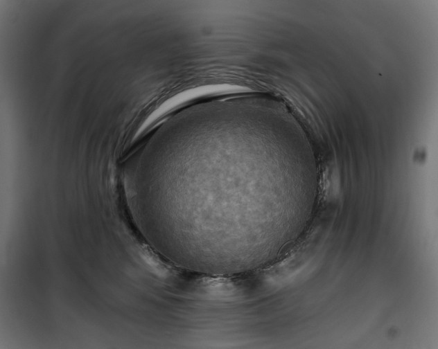 X0000100470424200806201611