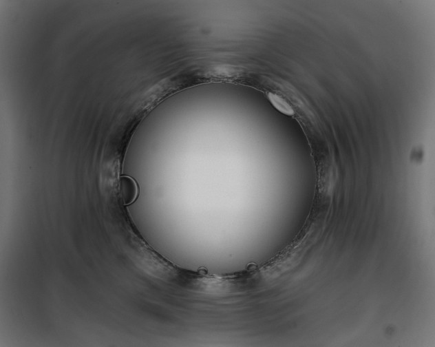 X0000100470425200806201611