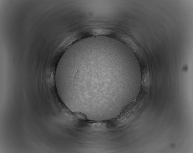 X0000100470426200806201611