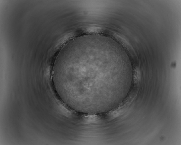 X0000100470428200806201611