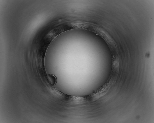 X0000100470429200806201611