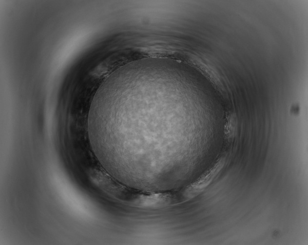 X0000100470430200806201610