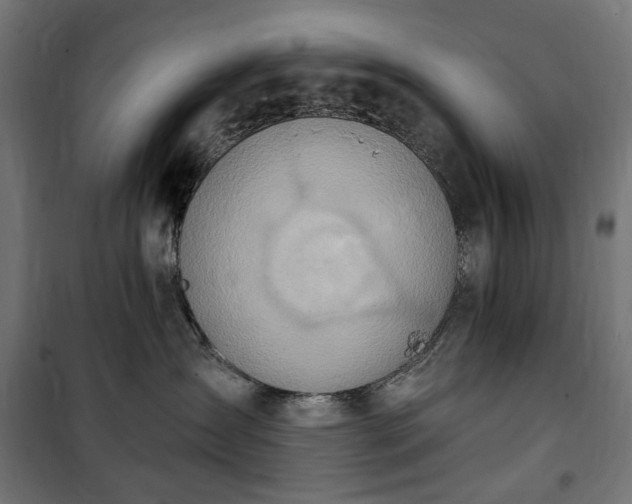 X0000100470431200806201610