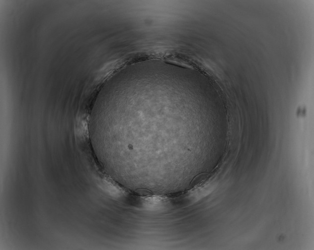 X0000100470432200806201610