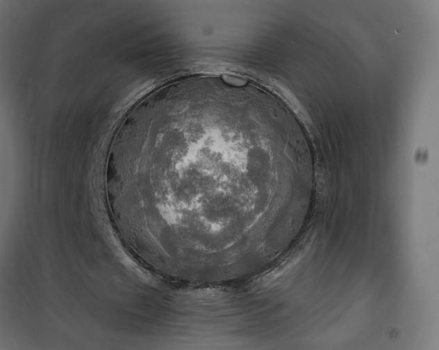 X0000100470433200806201610