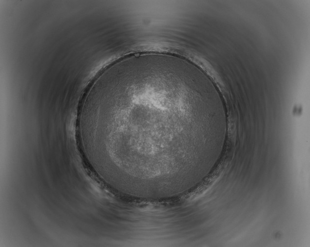 X0000100470434200806201610