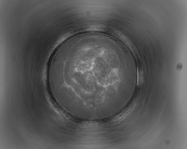 X0000100470435200806201610