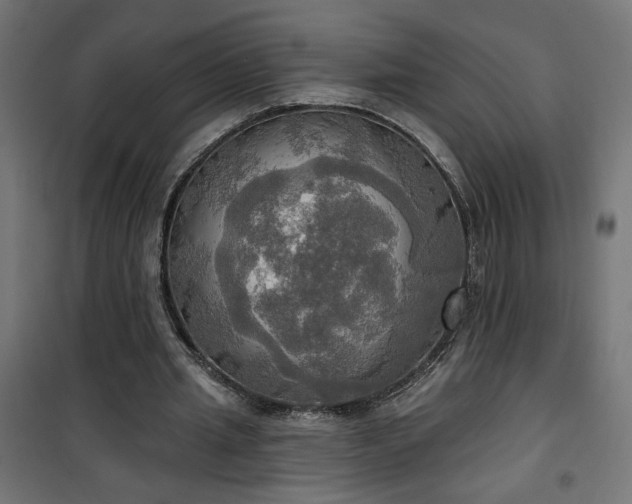 X0000100470437200806201610